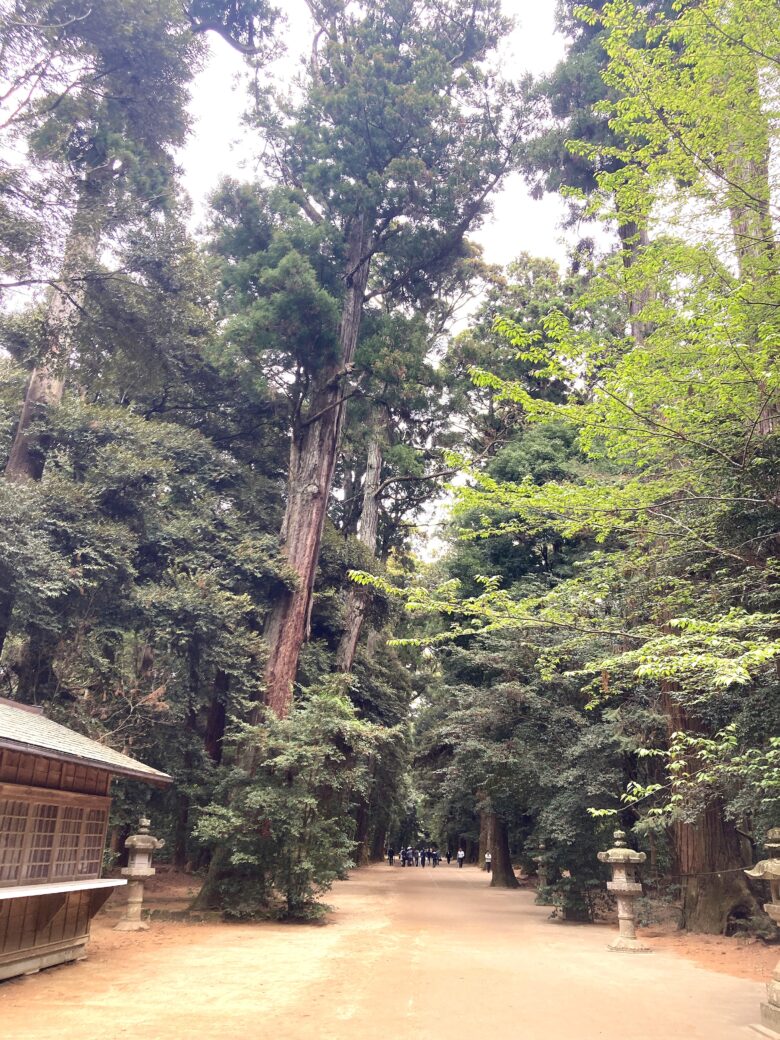 鹿島神宮の参道